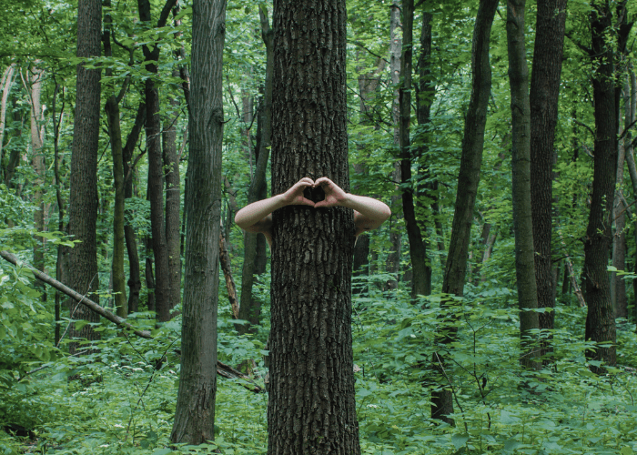 tree care